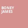 Boney James, The Fillmore, New Orleans