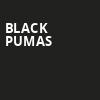 Black Pumas, Saenger Theatre, New Orleans