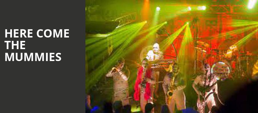 Here Come The Mummies, House of Blues, New Orleans