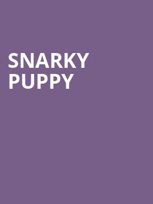 Snarky Puppy, Mahalia Jackson Theatre, New Orleans