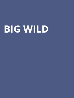 Big Wild, The Joy Theater, New Orleans