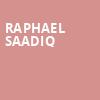 Raphael Saadiq, Orpheum Theater, New Orleans