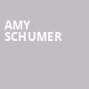 Amy Schumer, Saenger Theatre, New Orleans